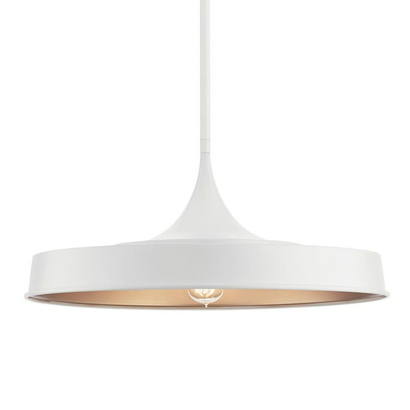 ELIAS CONVERTIBLE LED SEMI FLUSH/ PENDANT LIGHT (SHALLOW SHADE)