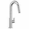 BEALE SINGLE HANDLE PULL-DOWN KITCHEN FAUCET