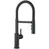 CTRIS FLEXO PULL DOWN KITCHEN FAUCET