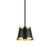 CASKE 1 LIGHT PENDANT