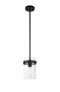 ZALE 1 LIGHT PENDANT