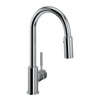 LUX™ PULL-DOWN BAR/FOOD PREP KITCHEN FAUCET