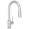 LUX PULL-DOWN BAR/FOOD PREP KITCHEN FAUCET