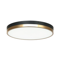 TONE 16" LED FLUSH MOUNT