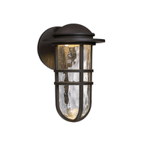 STEAMPUNK 13-INCH 3000K LED INDOOR AND OUTDOOR WALL LIGHT