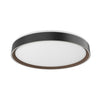 ESSEX 20" LED FLUSH MOUNT