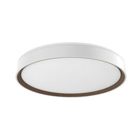 ESSEX 20" LED FLUSH MOUNT